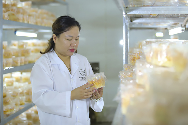Chuyển đổi số nông nghiệp: Câu chuyện thực tế của nữ tỷ phú Nông dân Việt Nam xuất sắc 2021 trồng đông trùng hạ thảo