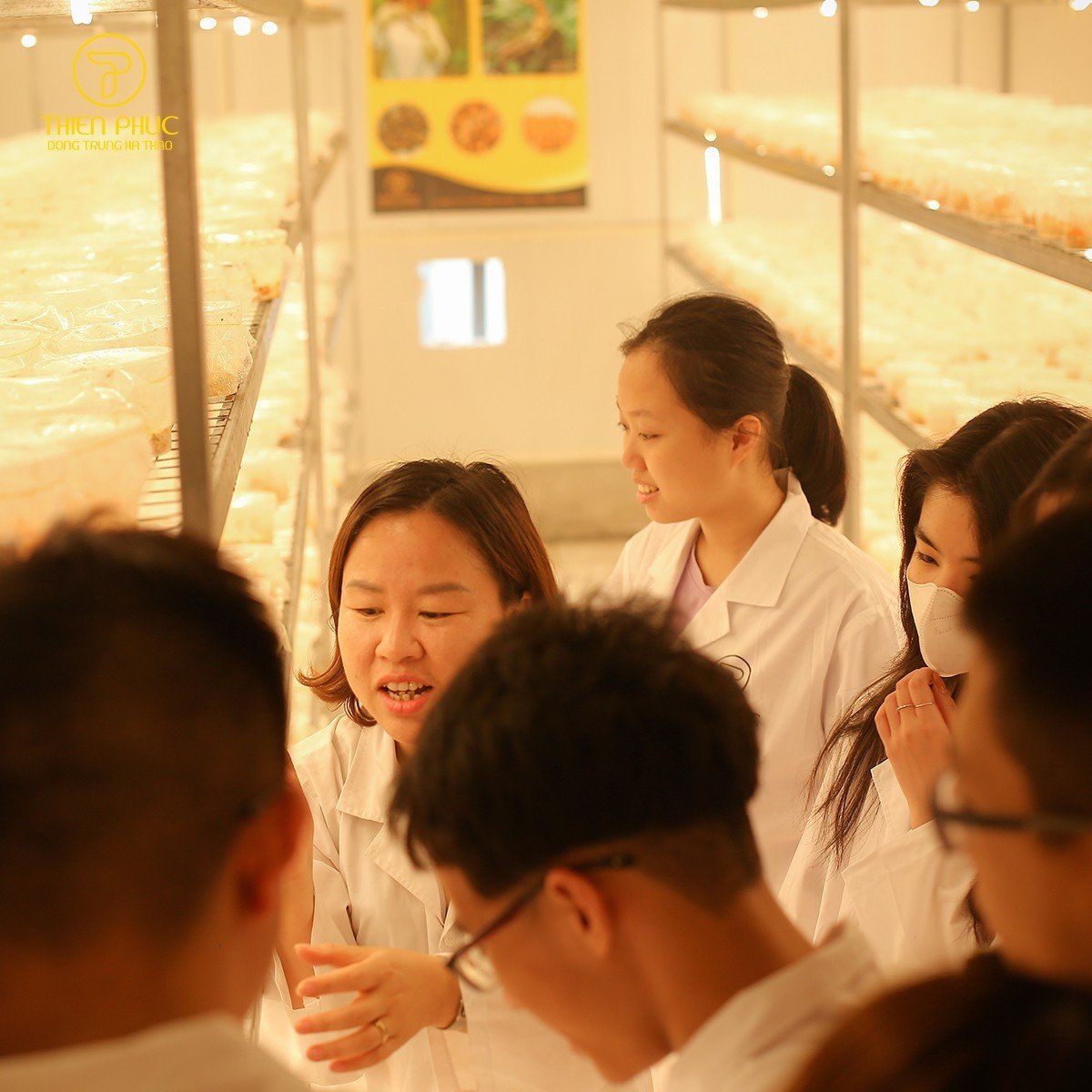 Tiếp tục chào đón các em học sinh khám phá tại khu nuôi trồng đông trùng hạ thảo miễn phí