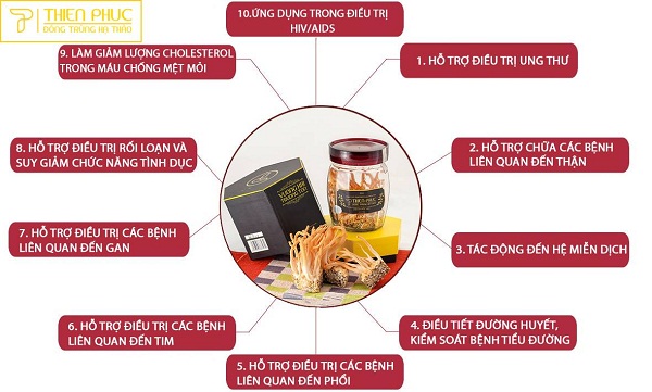 Website chính thức của Công ty CP Dược Thảo Thiên Phúc