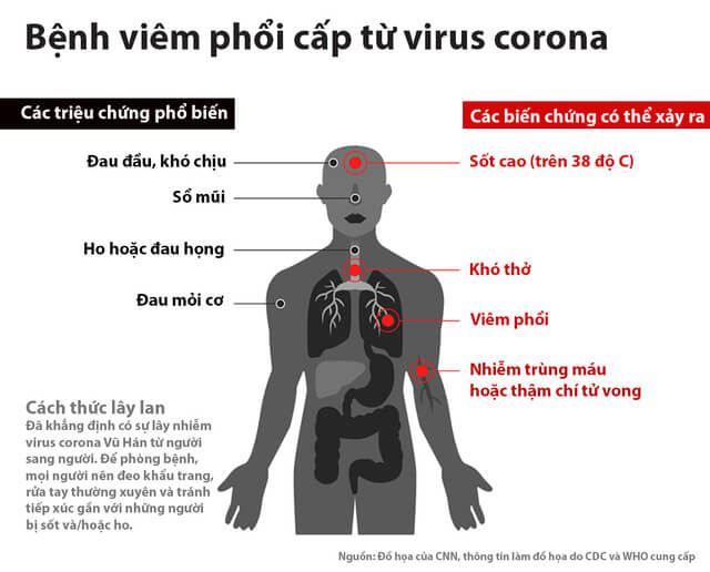Website chính thức của Công ty CP Dược Thảo Thiên Phúc