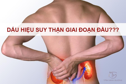 Website chính thức của Công ty CP Dược Thảo Thiên Phúc