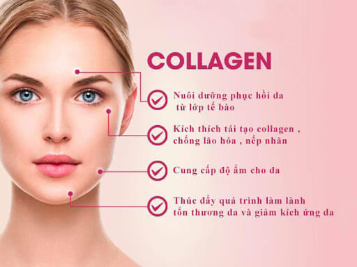 Website chính thức của Công ty CP Dược Thảo Thiên Phúc