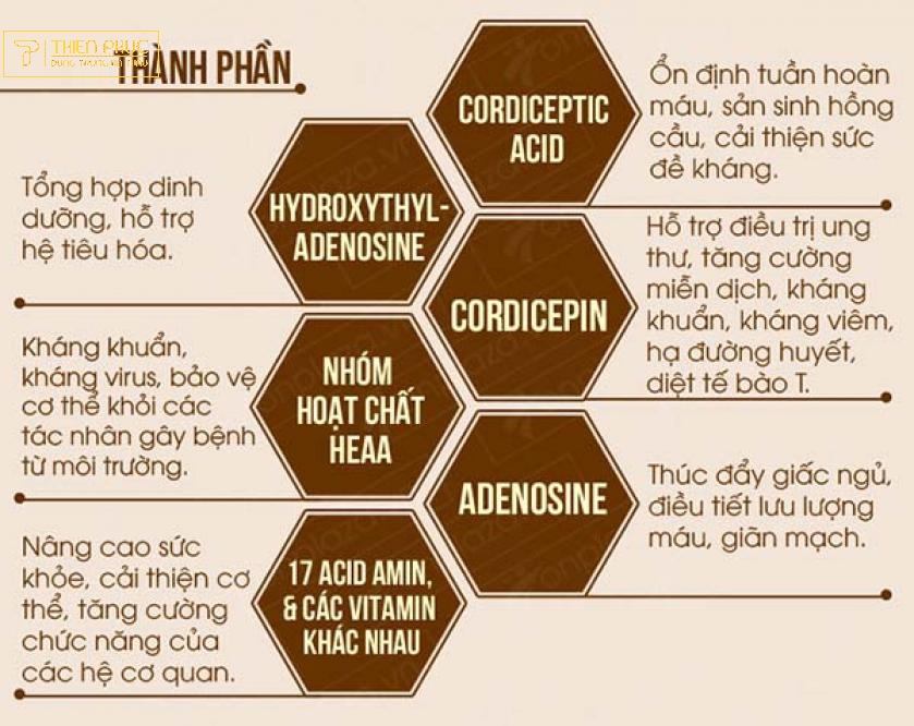 Website chính thức của Công ty CP Dược Thảo Thiên Phúc