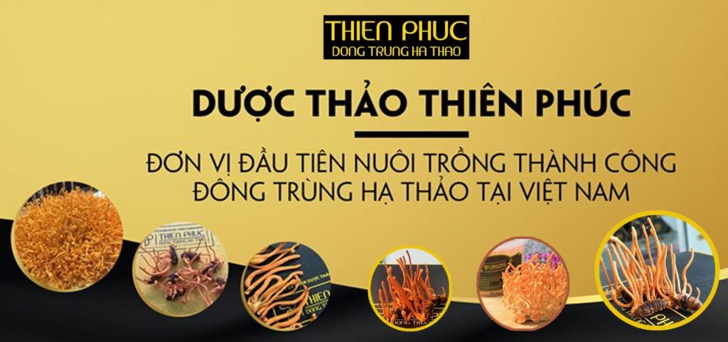 Website chính thức của Công ty CP Dược Thảo Thiên Phúc