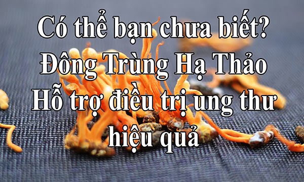 Website chính thức của Công ty CP Dược Thảo Thiên Phúc