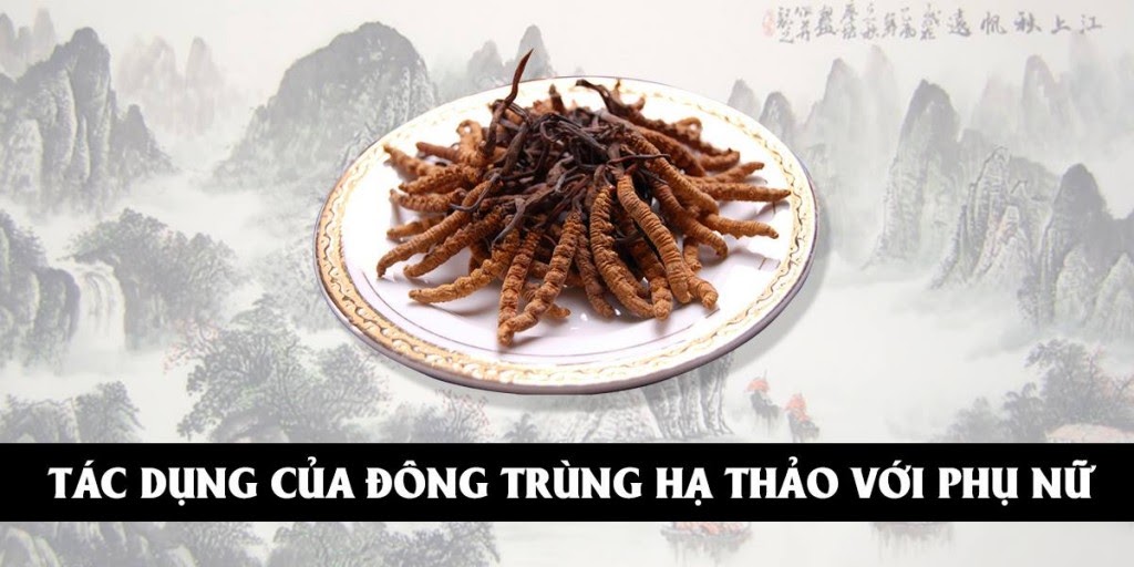 Website chính thức của Công ty CP Dược Thảo Thiên Phúc