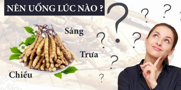 Website chính thức của Công ty CP Dược Thảo Thiên Phúc