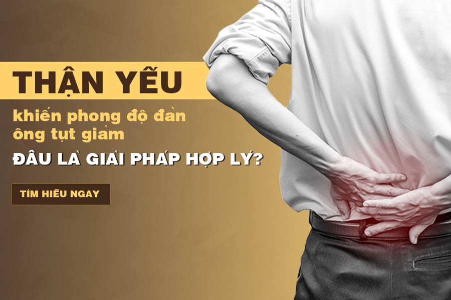 Website chính thức của Công ty CP Dược Thảo Thiên Phúc
