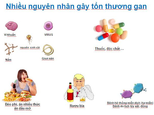 Website chính thức của Công ty CP Dược Thảo Thiên Phúc
