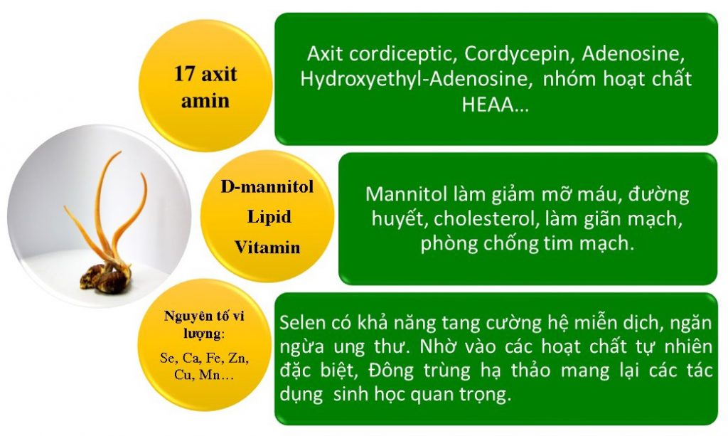 Website chính thức của Công ty CP Dược Thảo Thiên Phúc