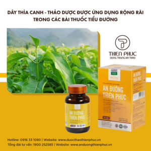 dây thìa canh trong các bài thuốc tiểu đường