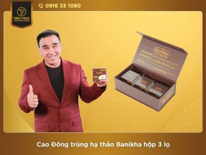 Cao Đông trùng hạ thảo Banikha mẫu mới