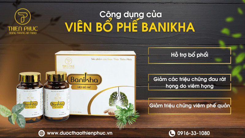 Công Dụng Viên Bổ Phế Banikha