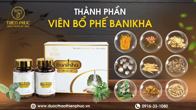 Thành Phần Viên Bổ Phế Banikha