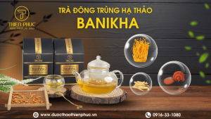 Trà Banikha Đông Trùng Hạ Thảo