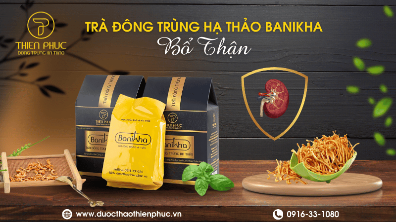 Trà Đông Trùng Bổ Thận Tráng Dương - Tăng Cường Sinh Lực