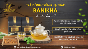 Đông Trùng Hạ Thảo Dạng Trà Giúp Giảm Mệt Mỏi