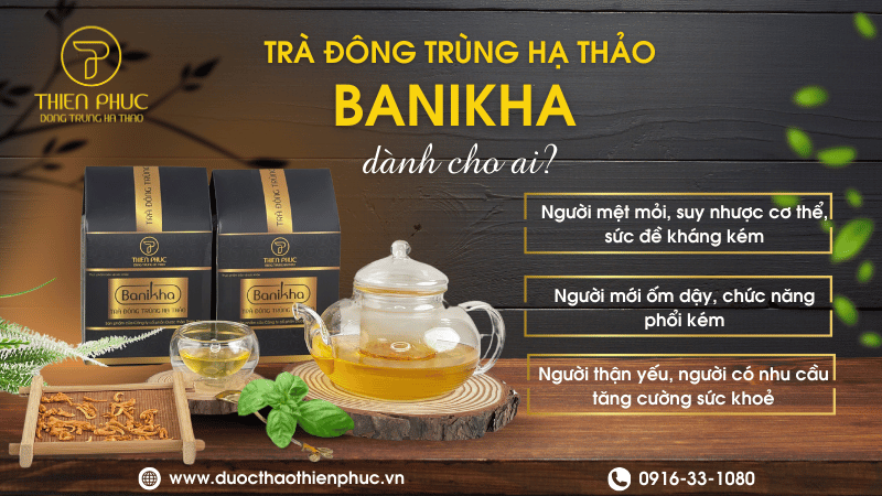 Đông Trùng Hạ Thảo Giúp Giảm Mệt Mỏi