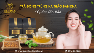 Trà Đông Trùng Hạ Thảo Giảm Lão Hóa