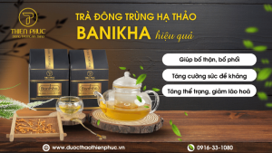 Hiệu Quả Của Trà Đông Trùng Hạ Thảo