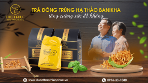 Trà Đông Trùng Tăng Sức Đề Kháng