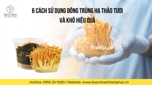 6 Cách Sử Dụng Đông Trùng Hạ Thảo Tươi và Khô Hiệu Quả