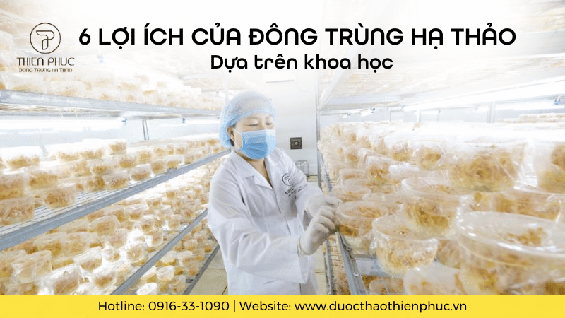 6 Lợi Ích Của Đông Trùng Hạ Thảo Dựa Trên Khoa Học