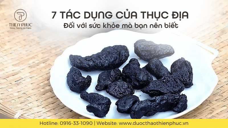 7 Tác Dụng Của Thục Địa Đối Với Sức Khỏe Bạn Nên Biết