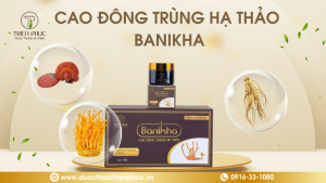 Mua Cao Đông Trùng Hạ Thảo Ở Đâu?