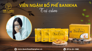 Bổ Phế Giảm Cảm Banikha Hiệu Quả