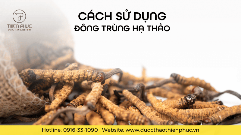 Cách Sử Dụng Đông Trùng Hạ Thảo Đúng Để Tối Đa Hóa Lợi Ích