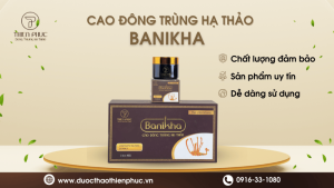 Cao Đông Trùng Hạ Thảo Banikha