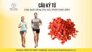 Câu Kỷ Tử – Loại Quả Vàng Cho Sức Khỏe Toàn Diện