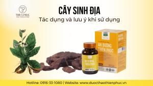 Đặc Điểm Của Cây Sinh Địa: Tác Dụng Và Lưu Ý Khi Sử Dụng