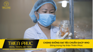 CHẶNG ĐƯỜNG ĐẠT TIÊU CHUẨN GACP-WHO Đông trùng Hạ thảo Thiên Phúc