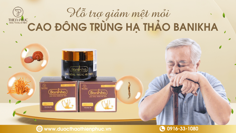 Cao Đông Trùng Hạ Thảo Giúp Giảm Mệt Mỏi