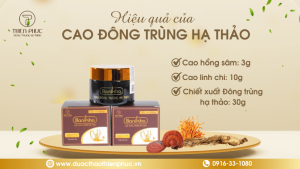 Cao Đông Trùng Hạ Thảo Hiệu Quả