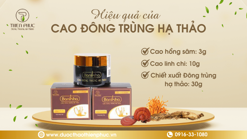 Cao Đông Trùng Hạ Thảo Hiệu Quả