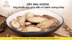 Dây Đau Xương – Cây Thuốc Quý Giúp Hỗ Trợ Xương Khớp