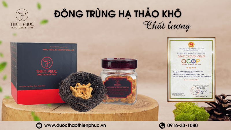 Chất Lượng Đông Trùng Hạ Thảo Khô Hàng Đầu