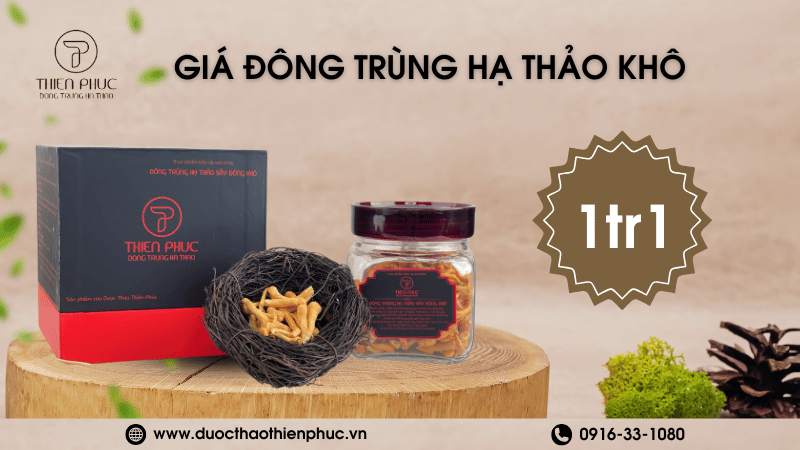 Giá Tốt Cho Đông Trùng Hạ Thảo Khô