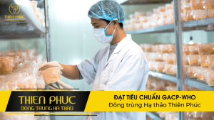 ĐẠT TIÊU CHUẨN GACP-WHO Đông trùng Hạ thảo Thiên Phúc