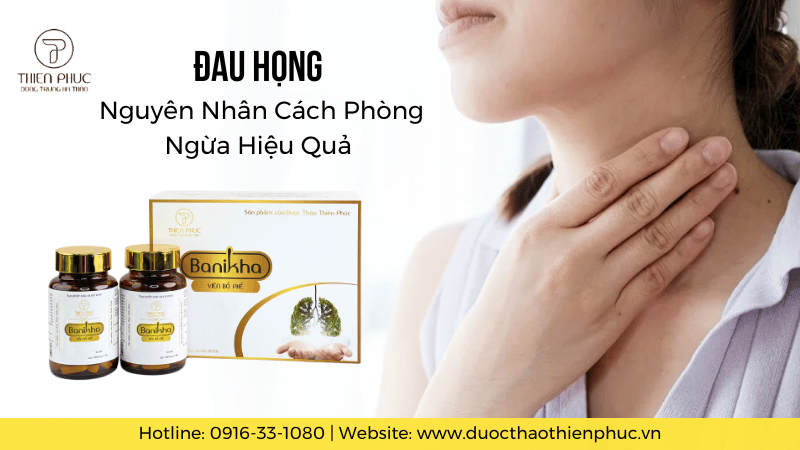 Nguyên Nhân Đau Họng: Triệu Chứng, Cách Phòng Ngừa Và Giải Pháp Hỗ Trợ Từ Viên Bổ Phế Banikha