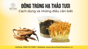 Cách Dùng Đông Trùng Hạ Thảo Tươi Và Những Điều Cần Biết