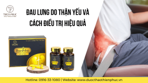 Đau Lưng Do Thận Yếu Và Cách Điều Trị Hiệu Quả