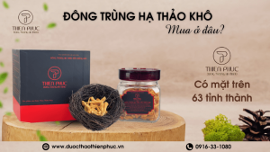 Địa Điểm Mua Đông Trùng Hạ Thảo Khô Ở Đâu?