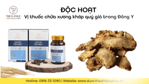 Độc Hoạt: Vị Thuốc Chữa Xương Khớp Quý Giá Trong Đông Y