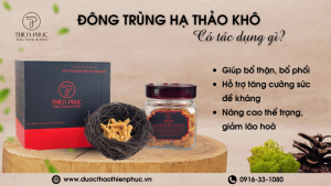 Đông Trùng Hạ Thảo Khô Có Tác Dụng Gì?