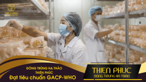 Đông Trùng Hạ Thảo Thiên Phúc Đạt Tiêu Chuẩn GACP-WHO