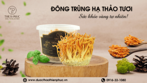 Đông Trùng Hạ Thảo Tươi Cho Sức Khỏe